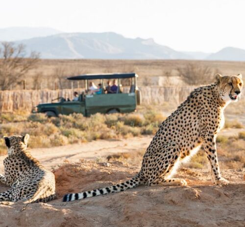 10-Day Southern Africa Safari