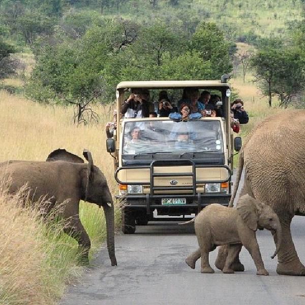 3 day Pilanesberg safari experience – Kwa Maritane
