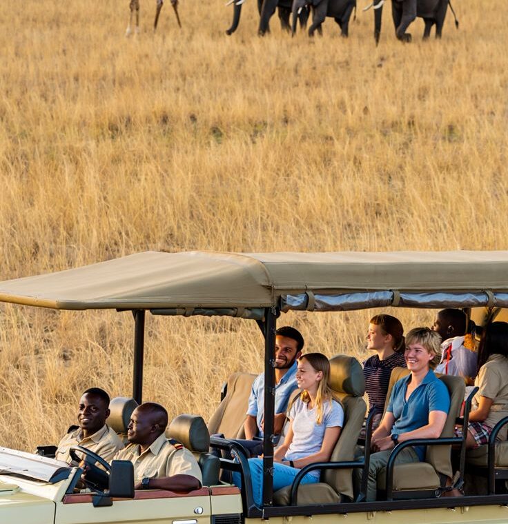 ½ day Guided Safari experience in Pilanesberg