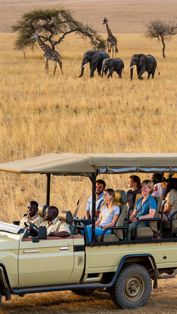 2 day luxury safari experience at Black Rhino game lodge