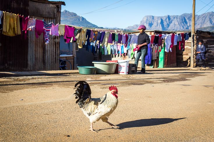 ½ day Explore the Township of Cape Town