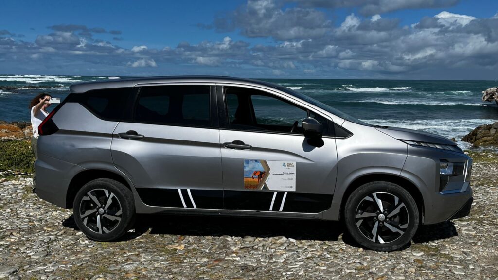 Self Drive vs Transfer to Kruger