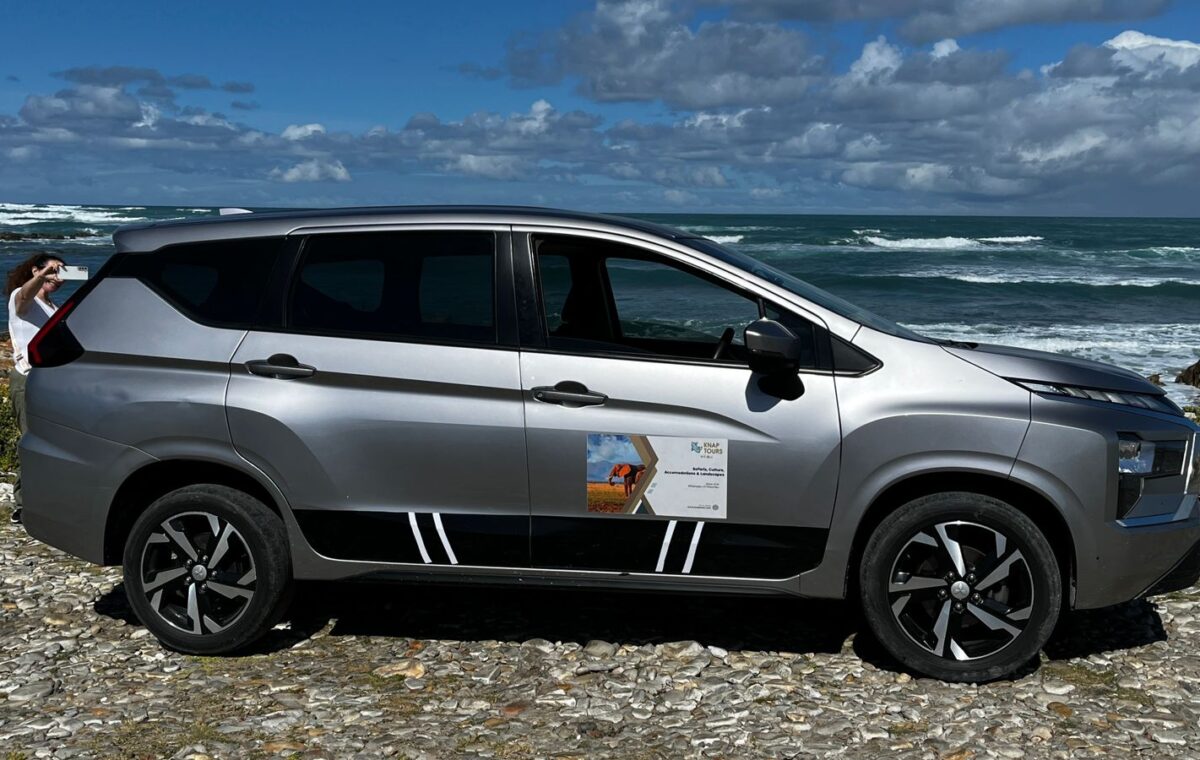 Self Drive vs Transfer to Kruger