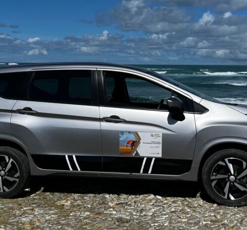 Self Drive vs Transfer to Kruger