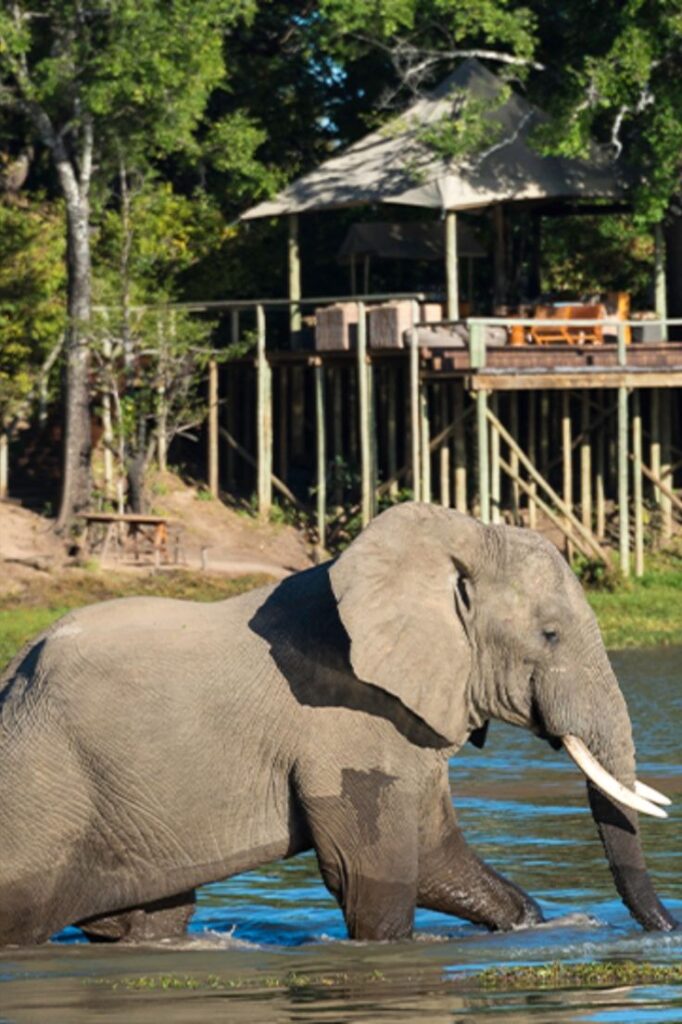 4 day private Chobe safari and Victoria falls escape