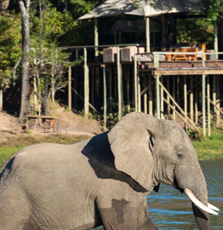 private Chobe safari and Victoria falls escape