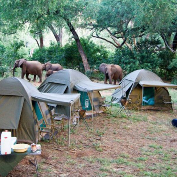 5 day Dumela fly in budget camping safari from Cape Town
