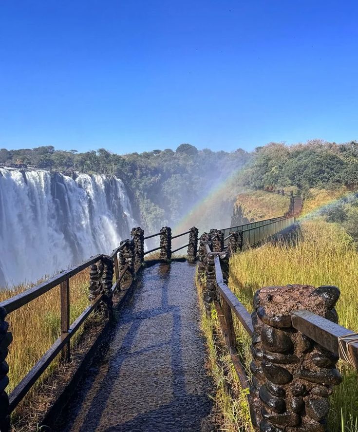 Guided Tour of the Falls