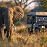 Aquila Game Reserve