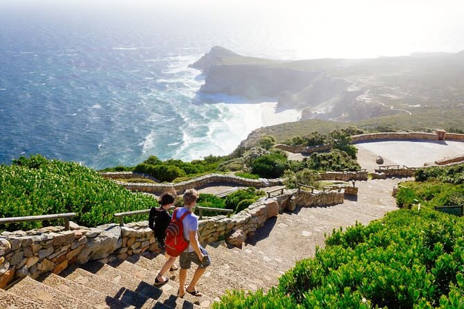 Cape Peninsula Tour