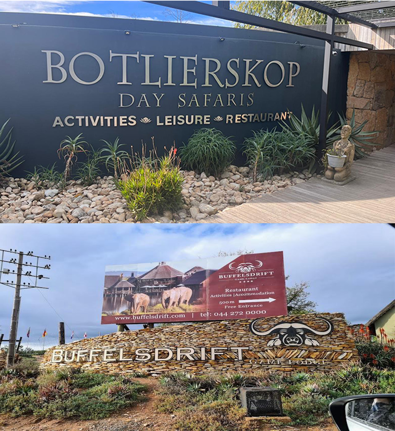 Game Drives – Botlierskop Private Game Reserve or Buffelsdrift Game Lodge