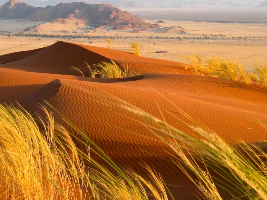 Customized Safari Itineraries