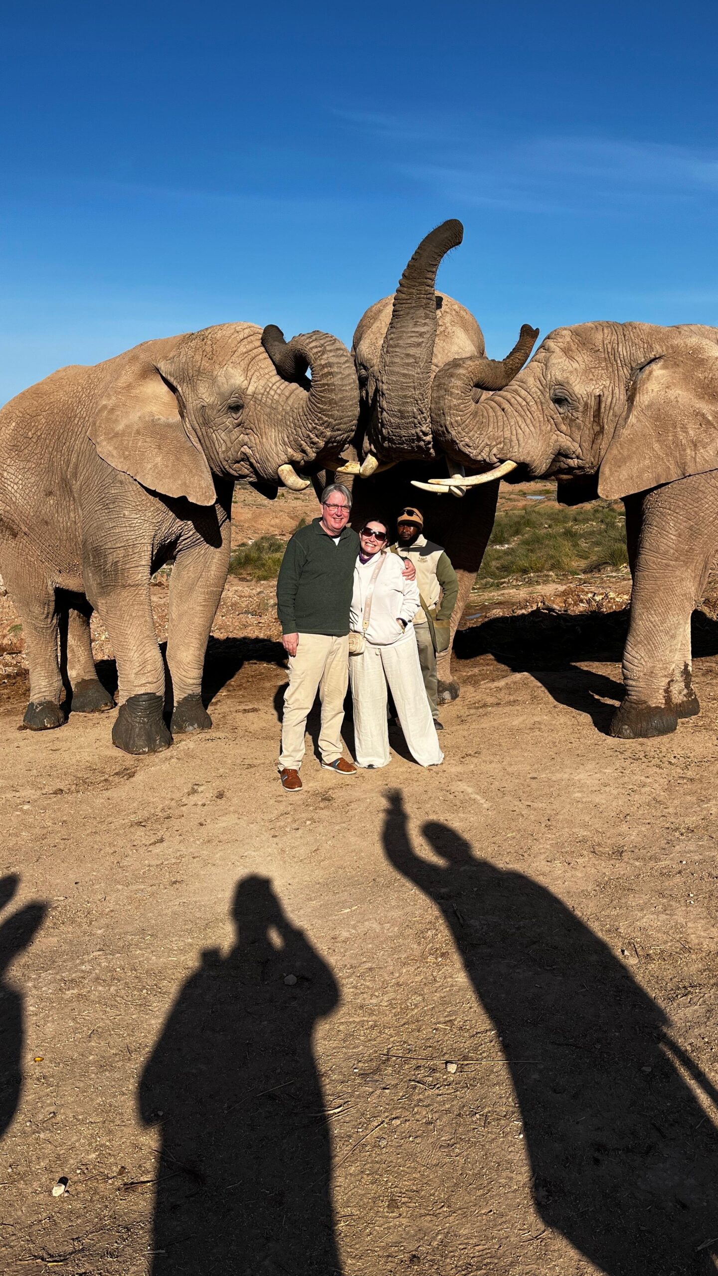Elephant Experience at Buffelsdrift