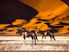 Namibia 