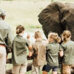 Family Safari Cost Guide