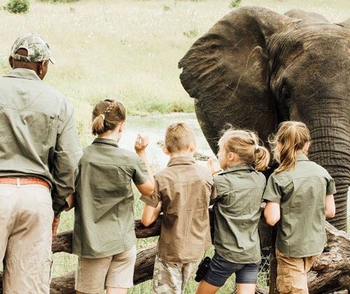 Family Safari Cost Guide