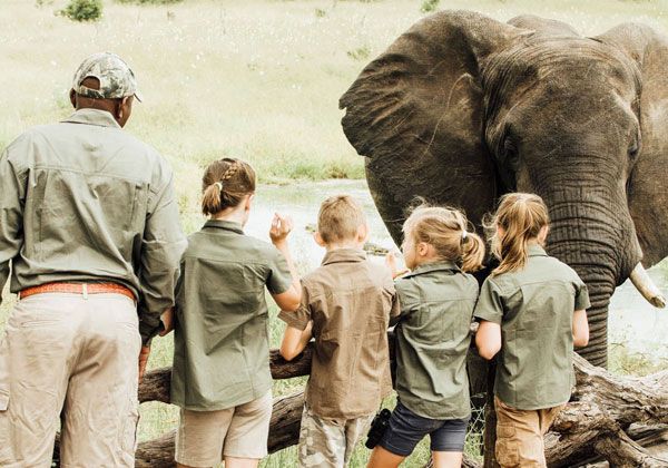 Family Safari Cost Guide