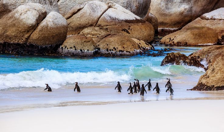 Is It Safe to Go on Safari in South Africa in 2026