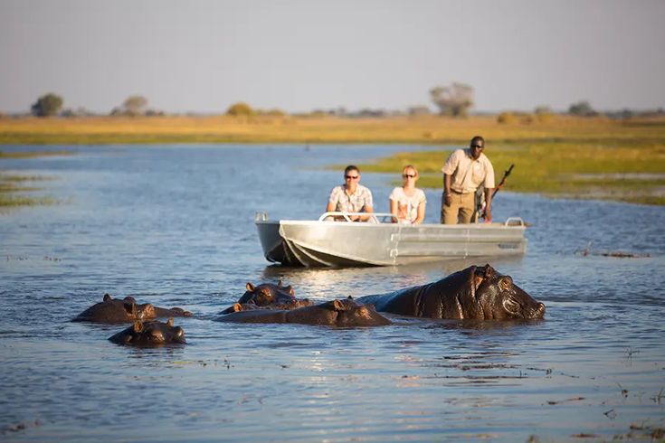 Chobe River