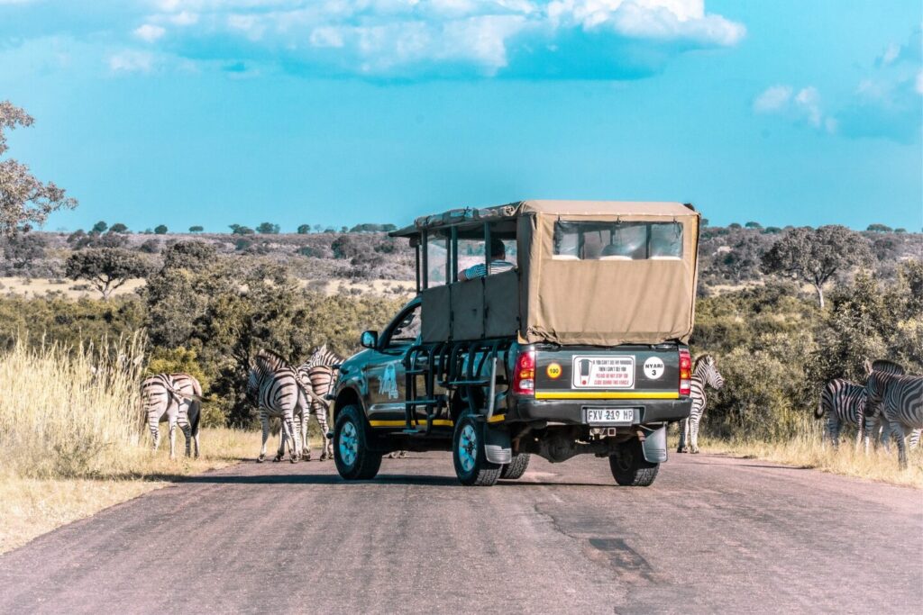 Game Drive in Kruger National Park South Africa