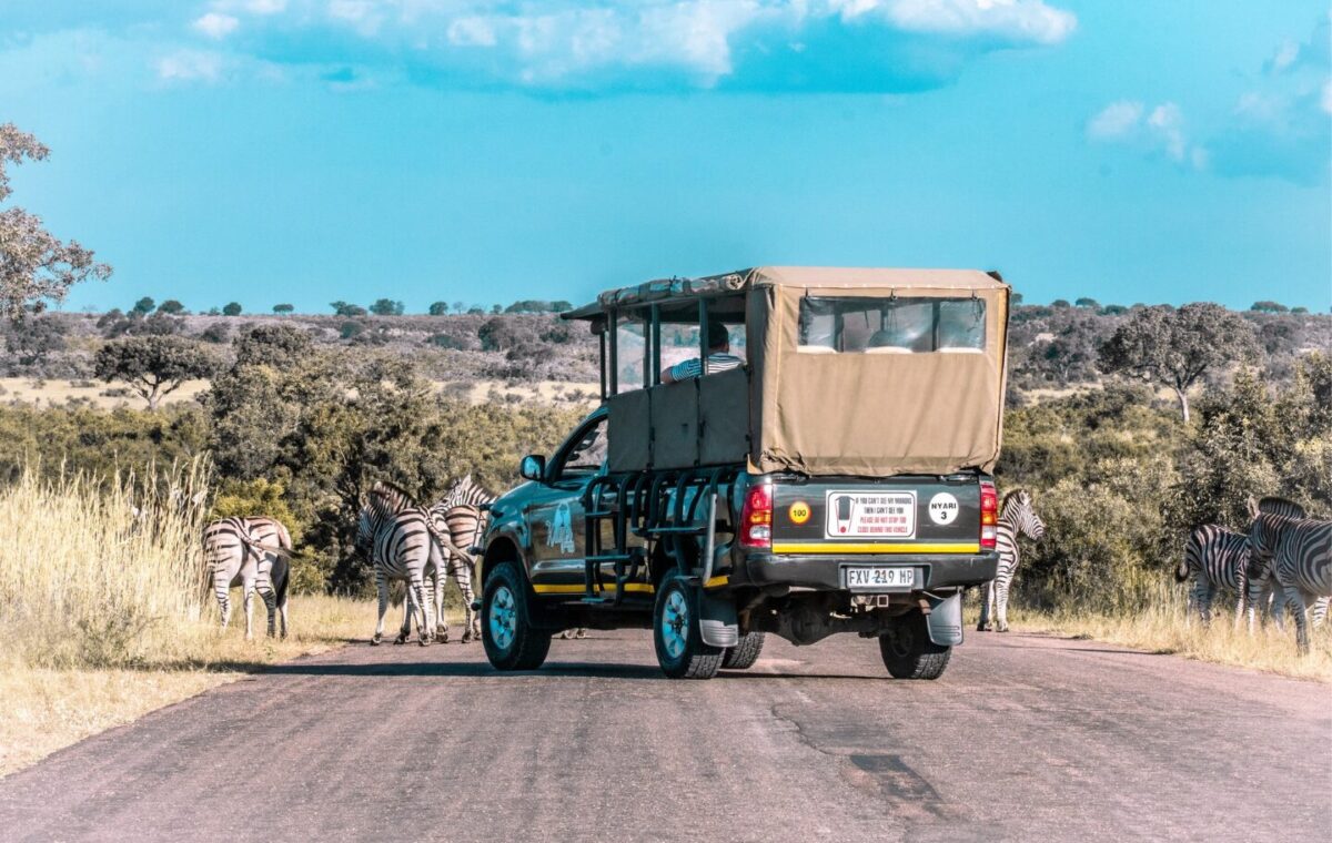 Game Drive in Kruger National Park South Africa