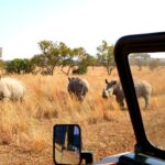 Best African Safari Packages for 2026