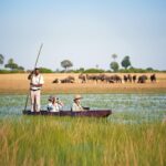 When to Visit Botswana for Safari