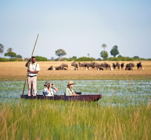 When to Visit Botswana for Safari
