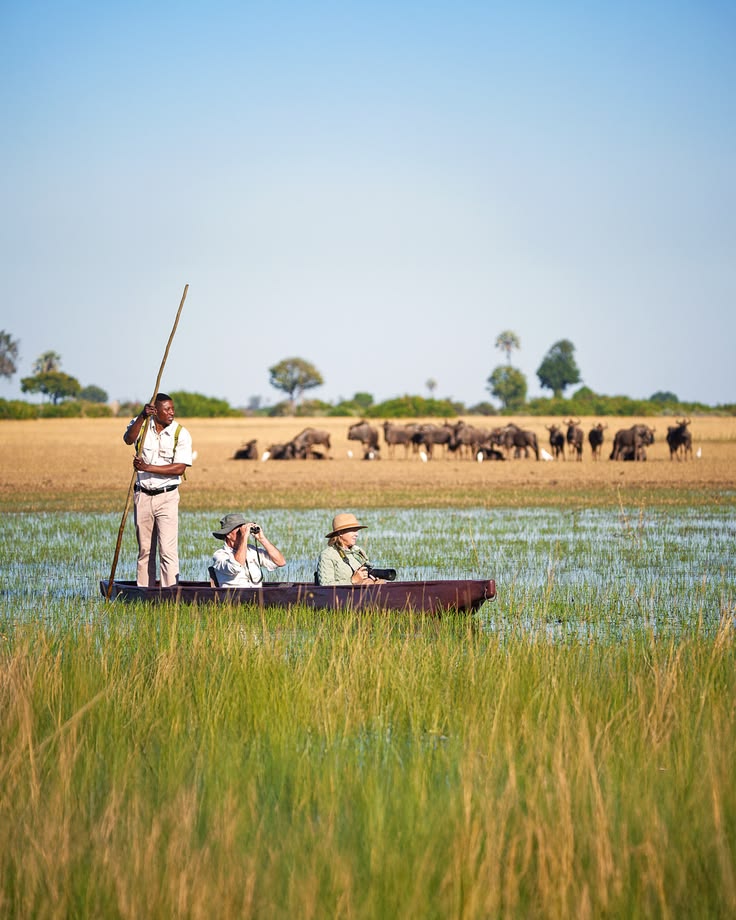 When to Visit Botswana for Safari