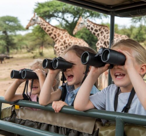 Can Children Go on Safari? Age Rules Explained