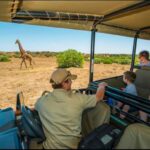 Kruger vs Pilanesberg Safari: Which One Is Right for You?