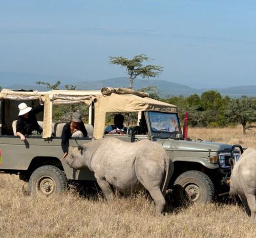 Namibia vs South Africa Safari