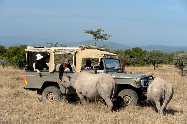 Namibia vs South Africa Safari