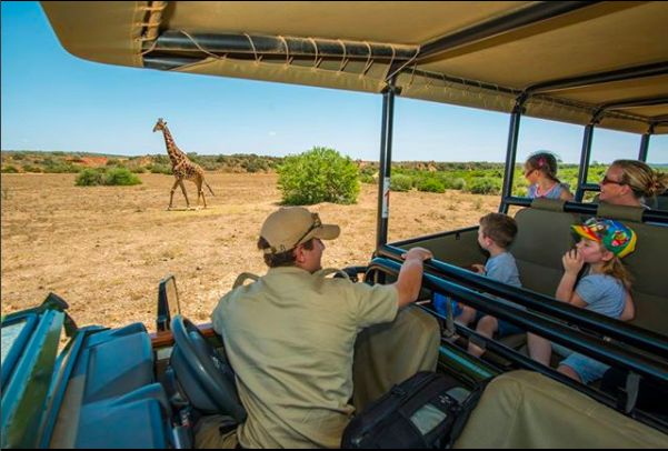 Can Children Go on Safari? Age Rules Explained