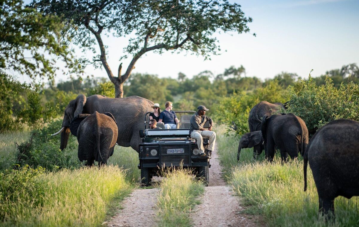Is Kruger Safe for Tourists