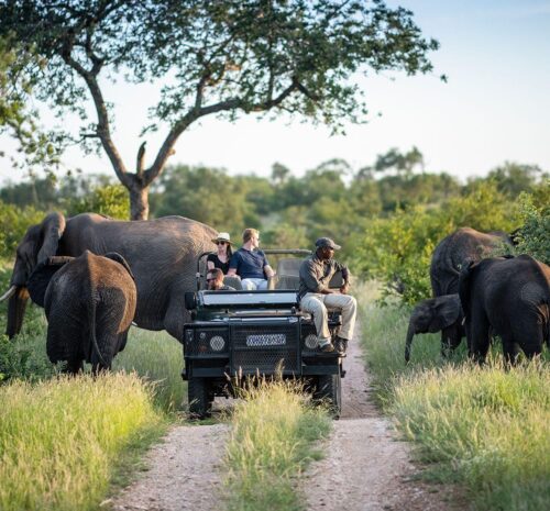 Is Kruger Safe for Tourists