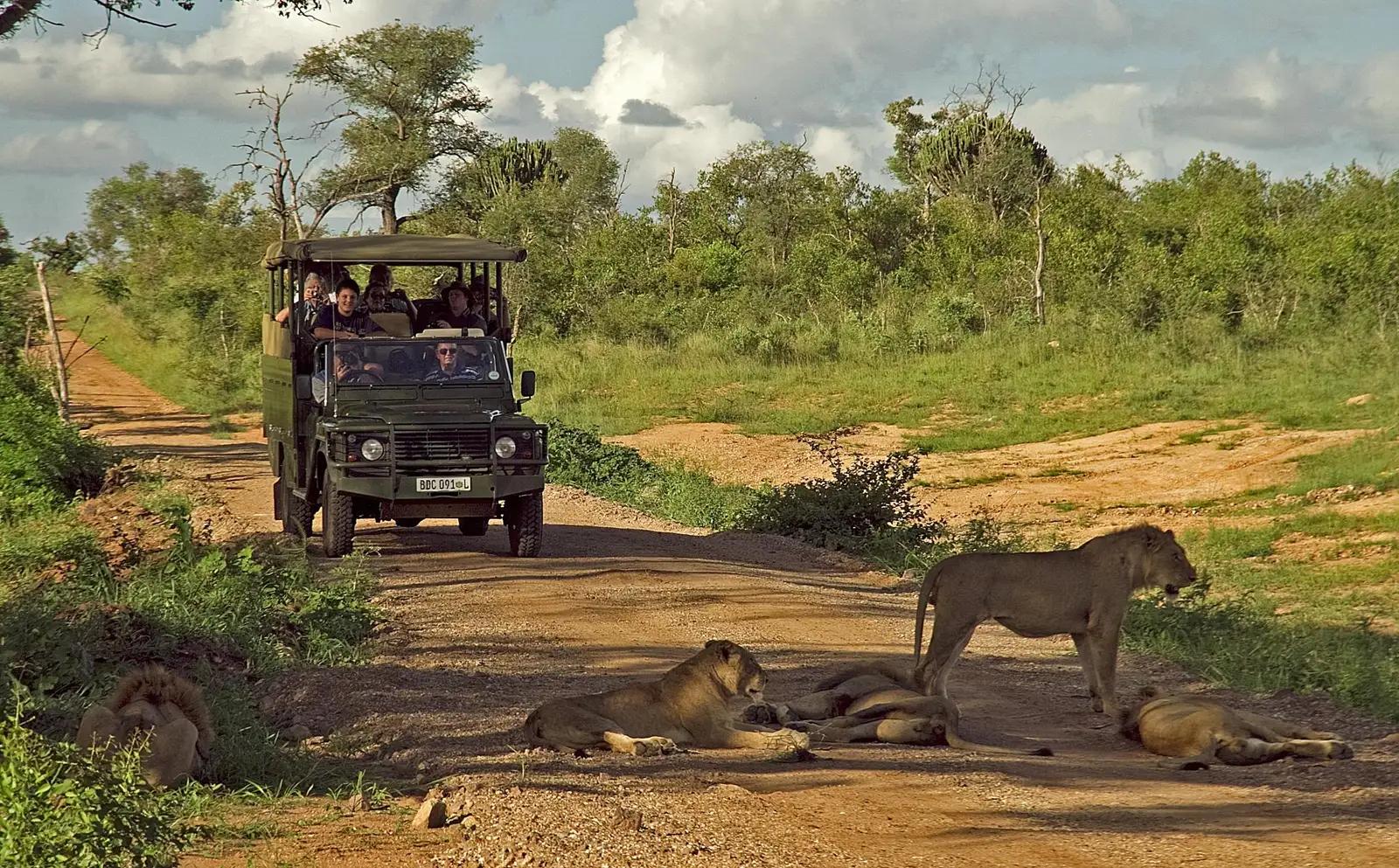 Weather Guide for African Safaris