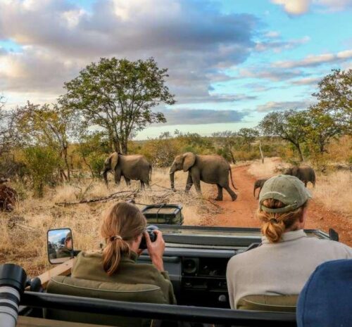 Weather Guide for African Safaris