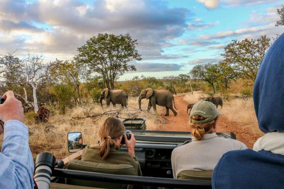 Weather Guide for African Safaris