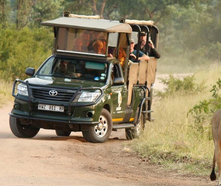 Month-by-Month Safari Guide: When to Visit Each Country