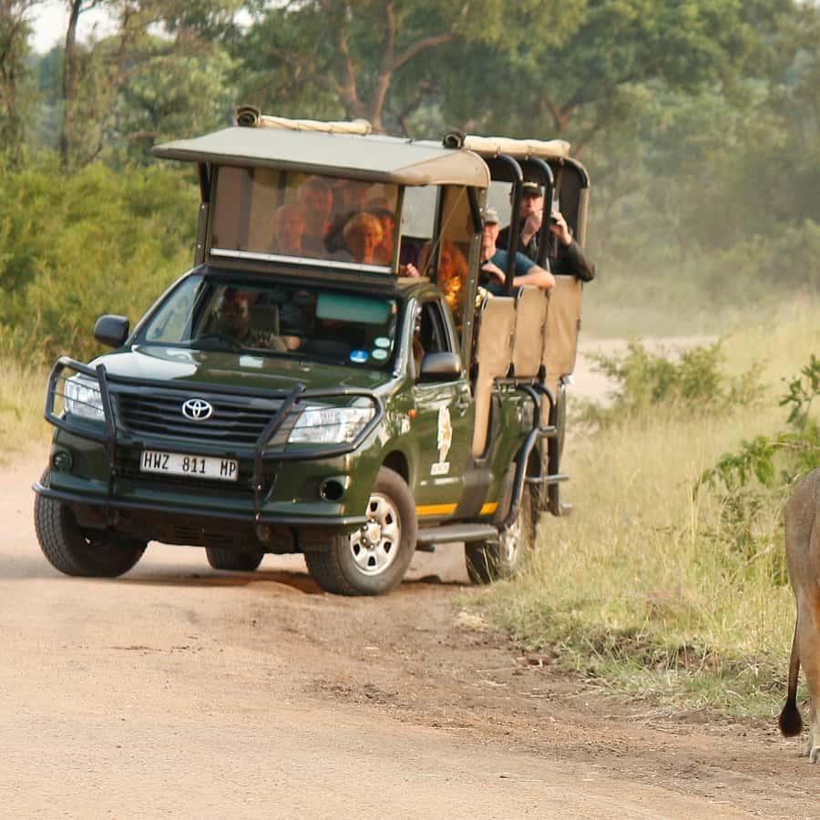 Month-by-Month Safari Guide: When to Visit Each Country
