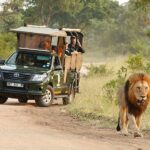 Kruger vs Chobe Safari