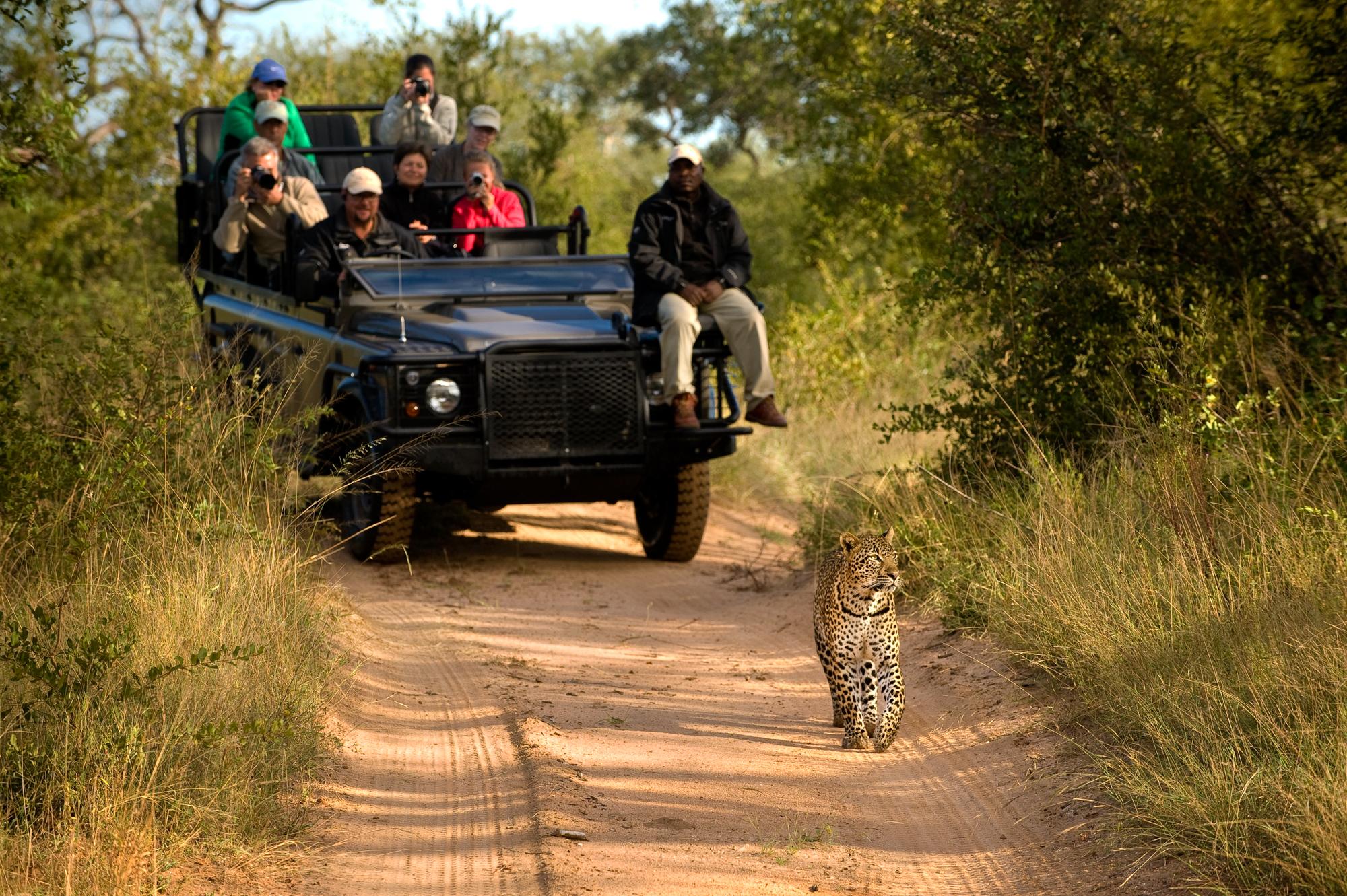 4-Day Sabi Sands Safari at Umkumbe Safari Lodge