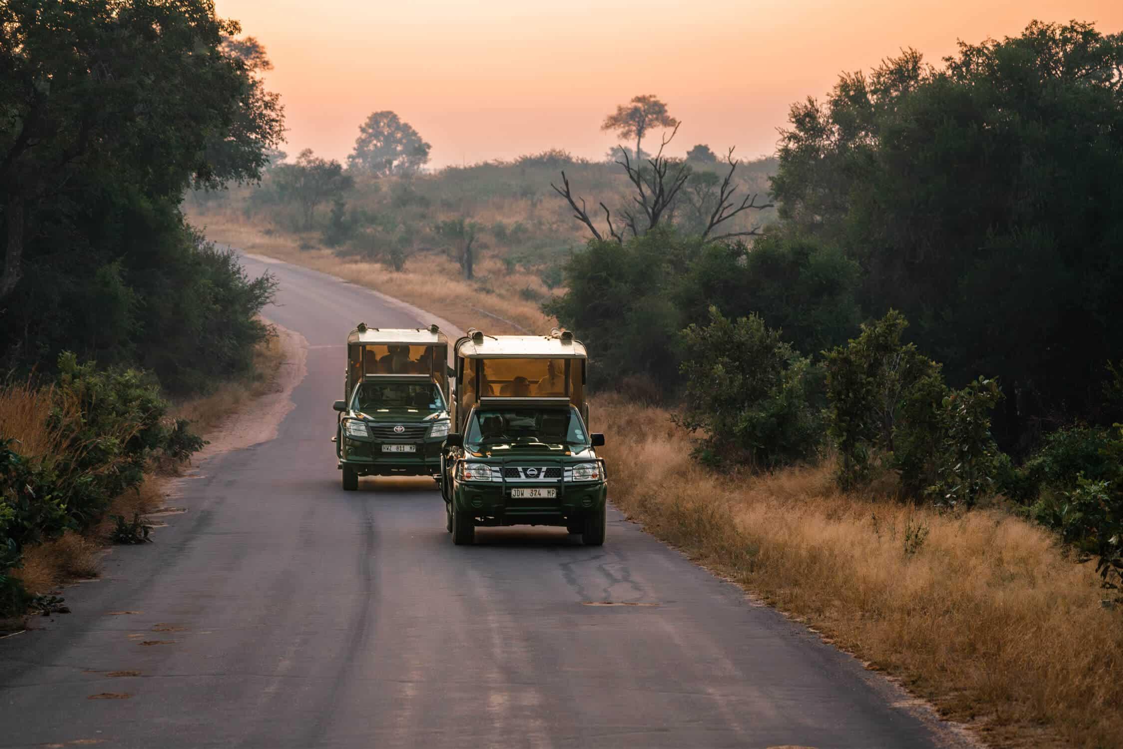 Is It Safe to Travel Between Safari Destinations
