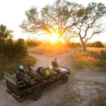 4-Day Sabi Sands Safari at Umkumbe Safari Lodge