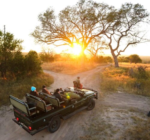 4-Day Sabi Sands Safari at Umkumbe Safari Lodge