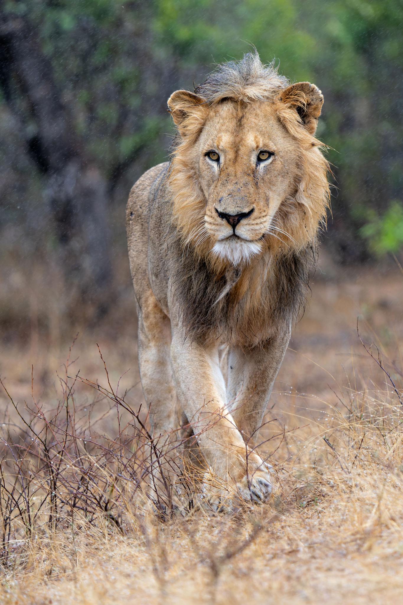 Is Kruger Safe for Tourists