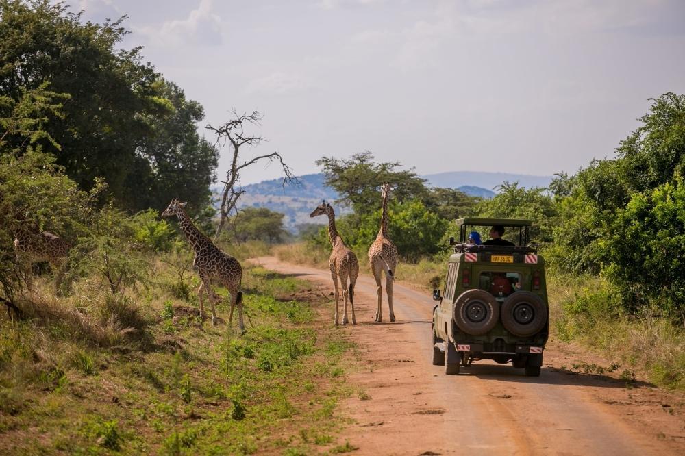 Is It Safe to Travel Between Safari Destinations