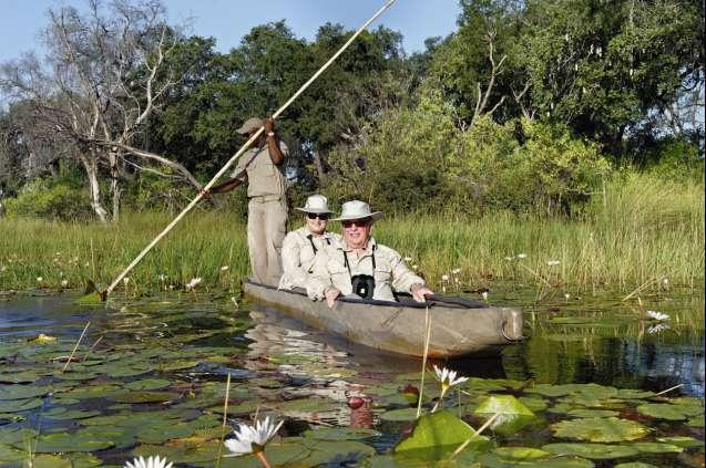 Best Safari for Honeymoon in Africa