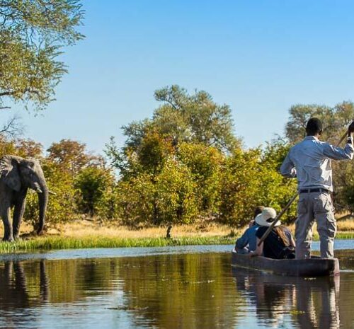 Botswana vs South Africa Safari: Which Should You Choose